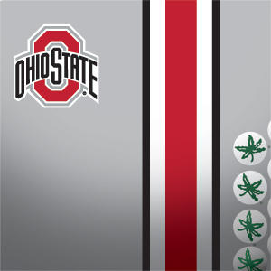 Ohio State University Buckeyes Playstation 3 & PS3 Skin
